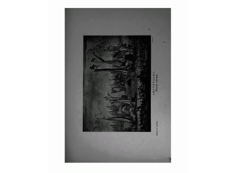 Амстердам, морские маневры.