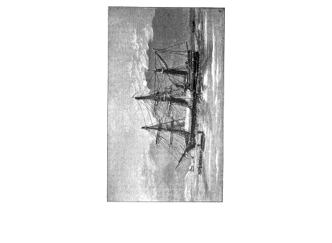 "Вега" на зимовке.