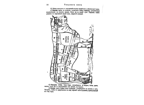 Рисунок и разбор вола, качество мяса и его сорт.