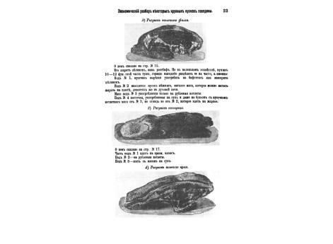2) Рисунок толстого филея.  3) Рисунок костреца.  4) Рисунок толстого края.