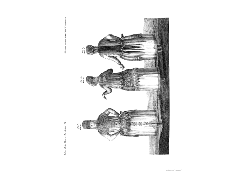 Том I. Таб. II. стр. 82