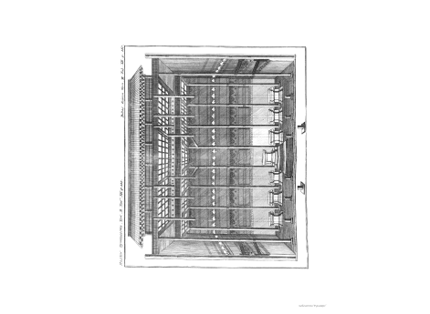 Том II. Таб. XII. стр.550