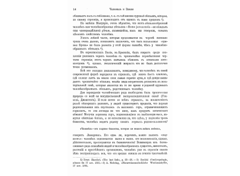 Скелет человека