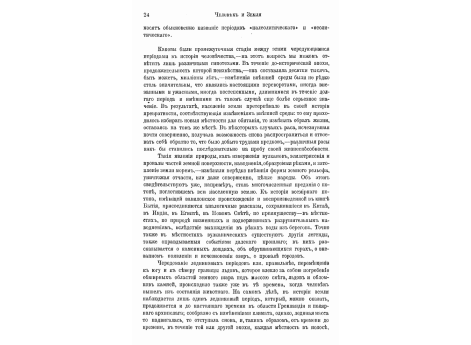 Скелет человека