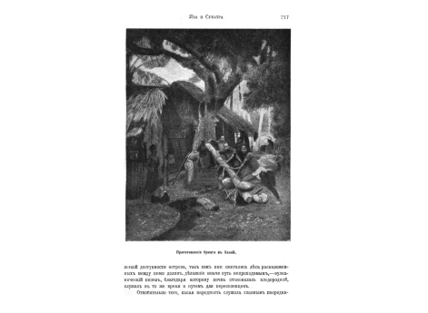 Вспахивание рисовых полей в Тонкине.