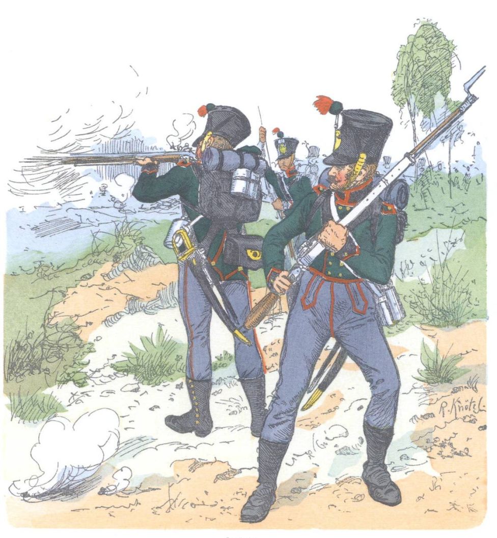 Саксония. Легкая пехота (1812)