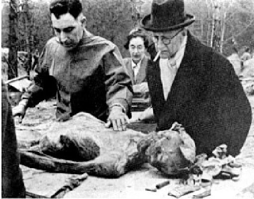 Международная комиссия осуществляет вскрытие