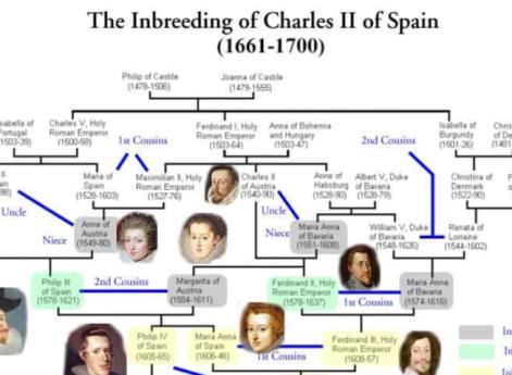 Пять уровней инбридинга среди испанских Габсбургов