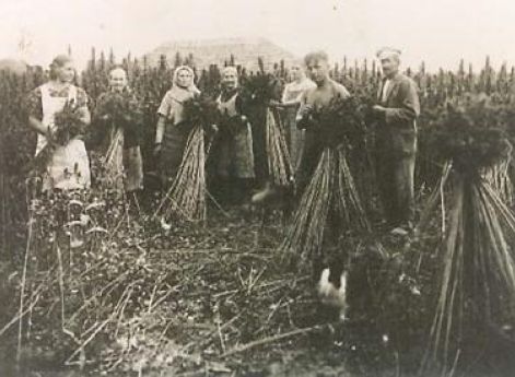 Латышские крестьяне. 1940 г.