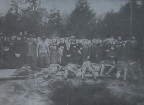Эксгумация тел семи литовских крестьян деревни Кинчуляй, оказавших помощьсоветским партизанам и убитых за это бойцами Литовской освободительной армии.Август, 1944 г.
