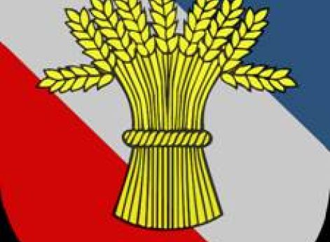 Эмблема Национал-социалистической рабочей партии Швеции