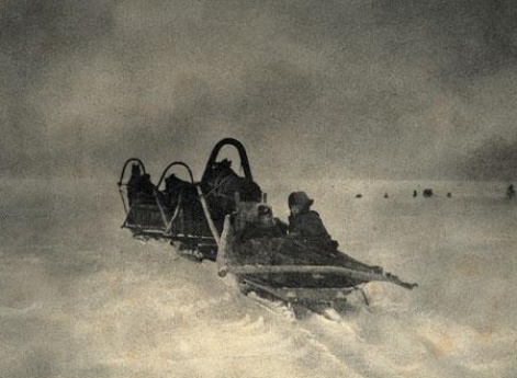 Учительницы.