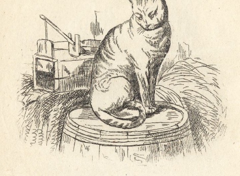 Иллюстрации к рассказу «Кошка» в книге