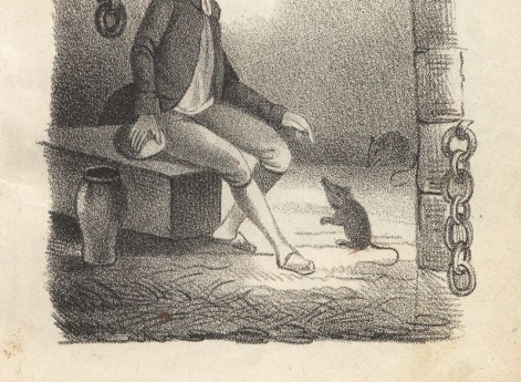 Латюдовы крысы. Иллюстрация в книге