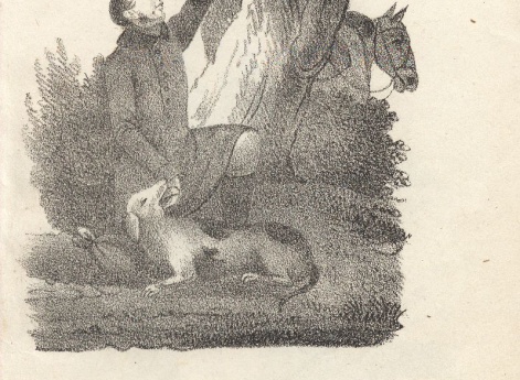 Собака – жертва своей верности. Иллюстрация в книге