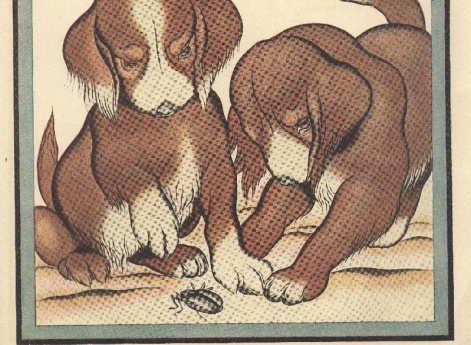 Иллюстрация в книге