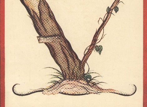 Иллюстрация в книге