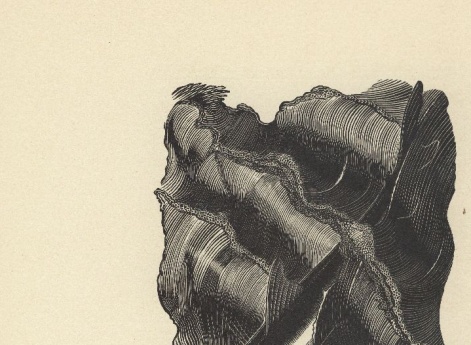 Иллюстрация к рассказу «Акула» в книге