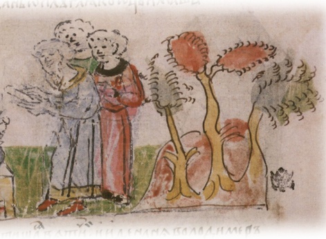 Договор Владимира Святославича с вятичами о дани.