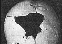 Статья из журнала «За свободу» 