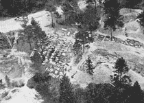 Вид на катынские массовые захоронения с самолета 