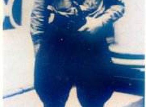 Датский штурмовик. 1939 г.