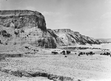 Жигулевские горы.