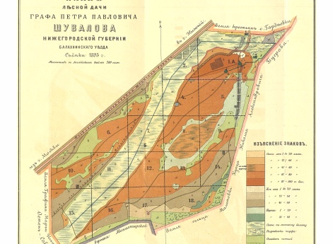 Лесная дача графа Петра Павловича Шувалова Нижегородской губернии, Балахнинского уезда. Съемки 1895 года